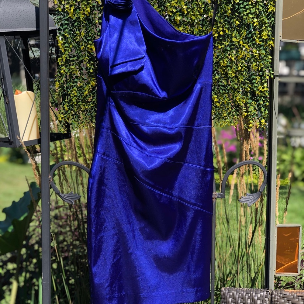 Josh & Jazz colbalt blue dress Sz S
